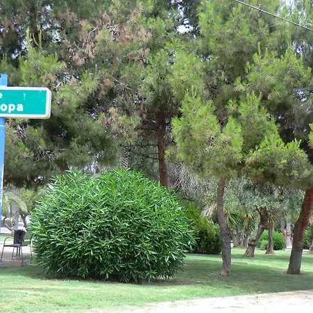 Prázdninový dům Casas Holiday - Calas Blancas Torrevieja